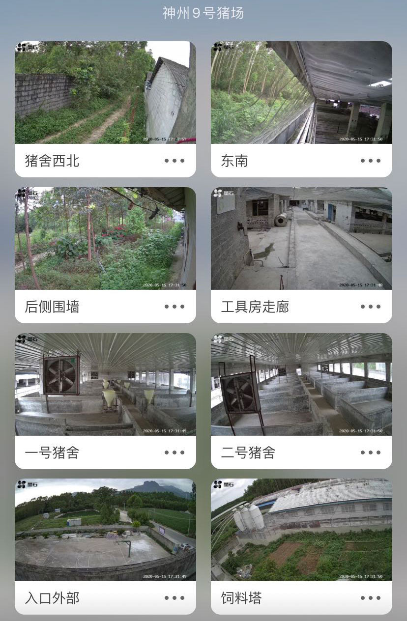 视频监控展示
